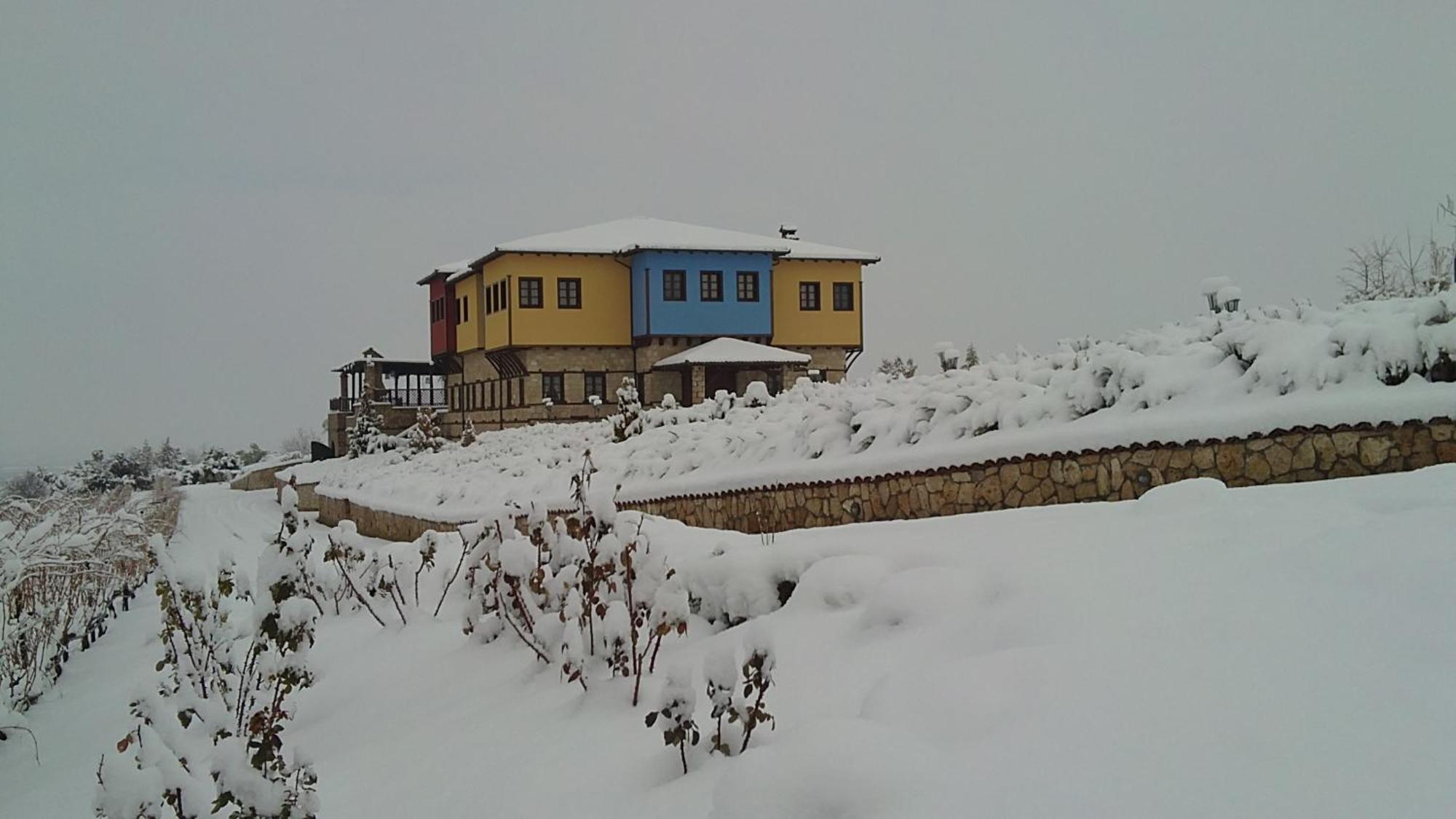 Отель Estate Kalaitzis Вергина Экстерьер фото